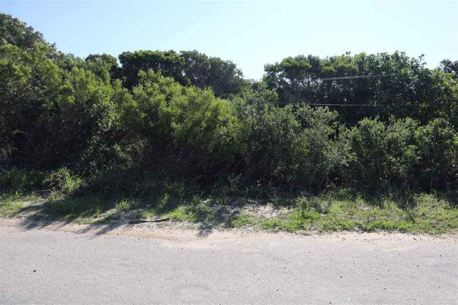 0 Bedroom Property for Sale in Paradise Beach Eastern Cape